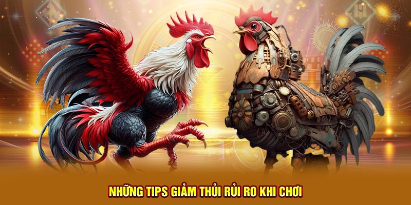 Những tips giảm thủi rủi ro khi chơi